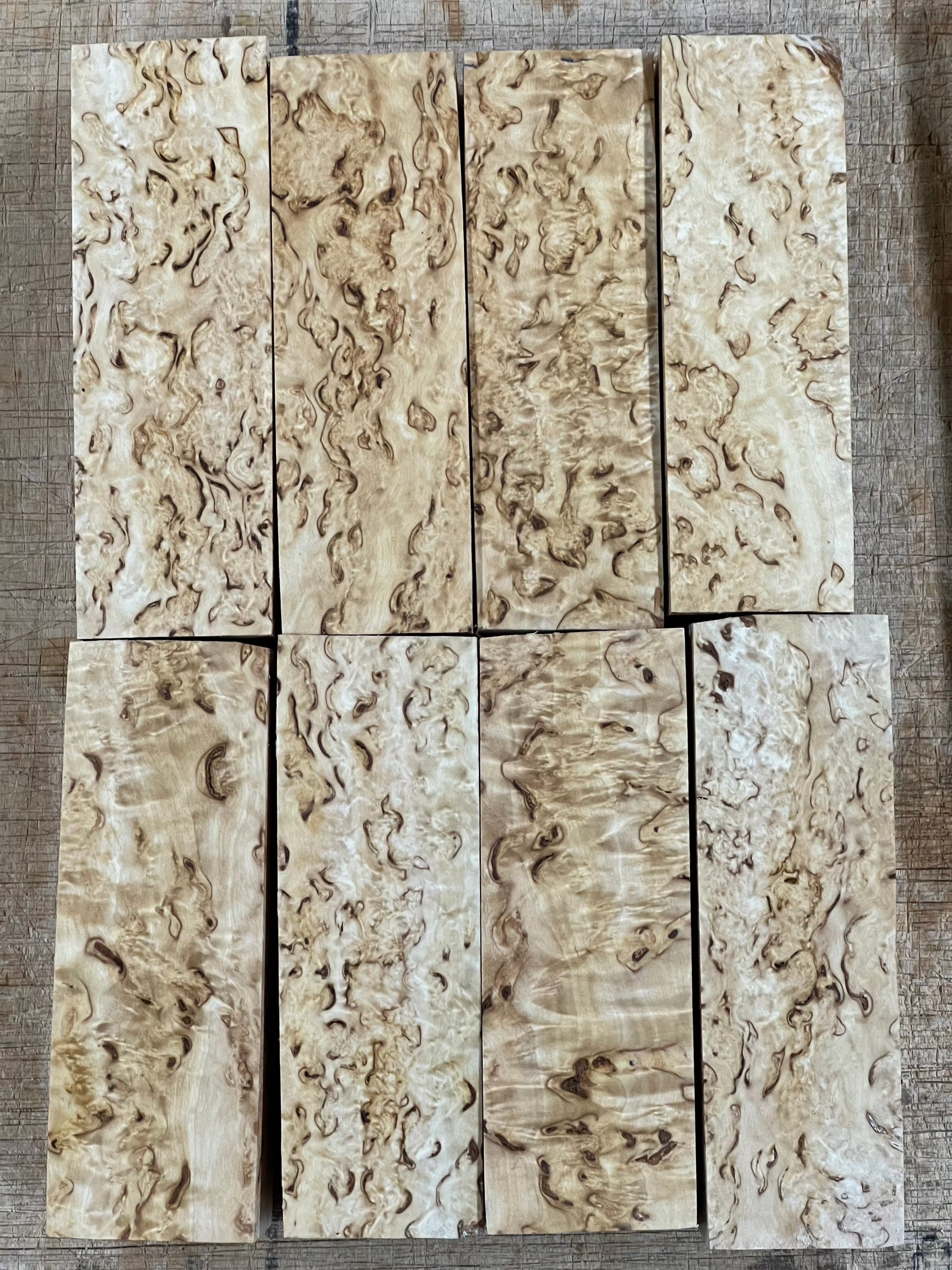 Naturel Bouleau verruqueux Bouleau madré env. 30x40x120