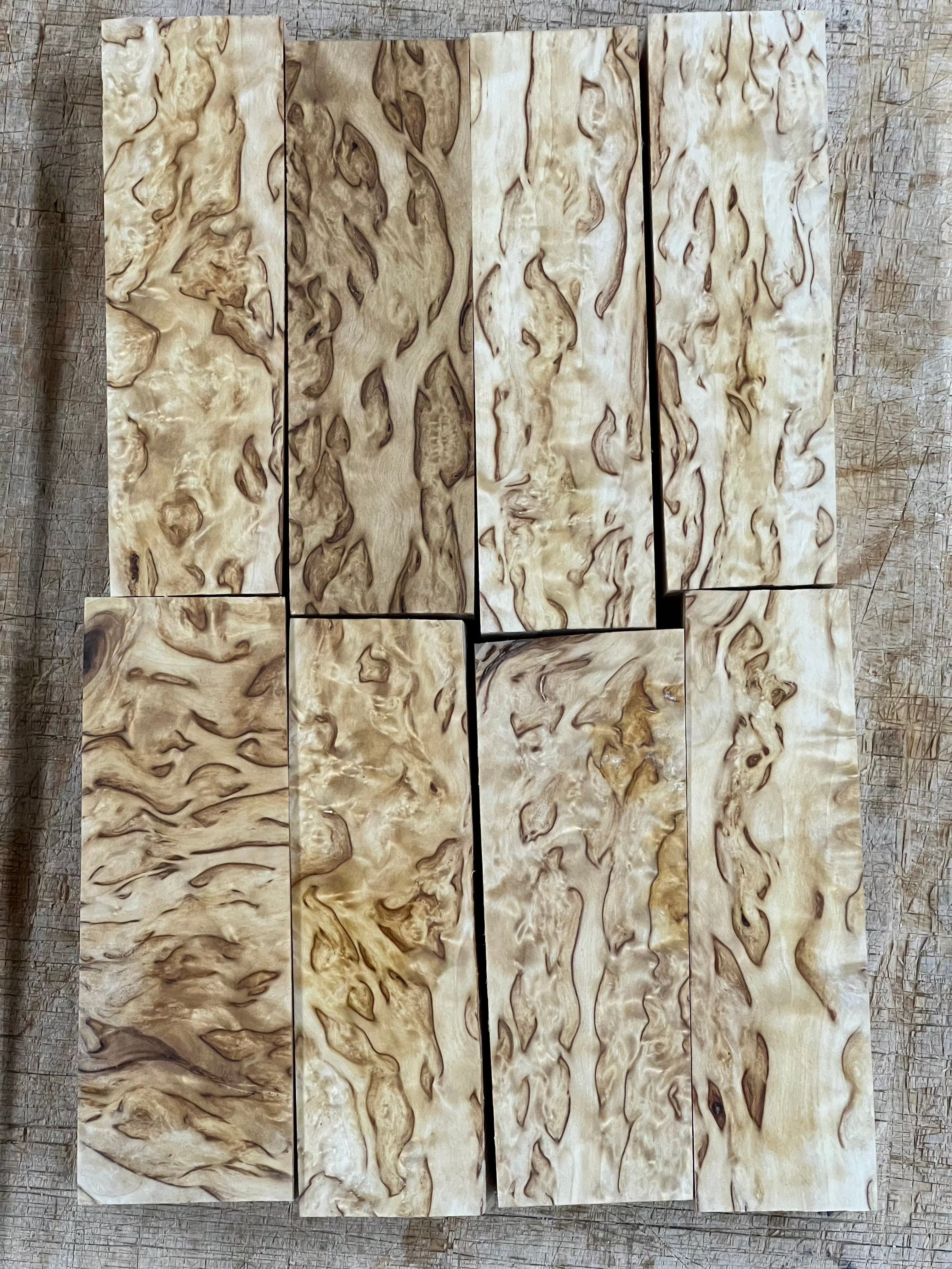 Naturel Bouleau verruqueux Bouleau madré env. 30x40x120