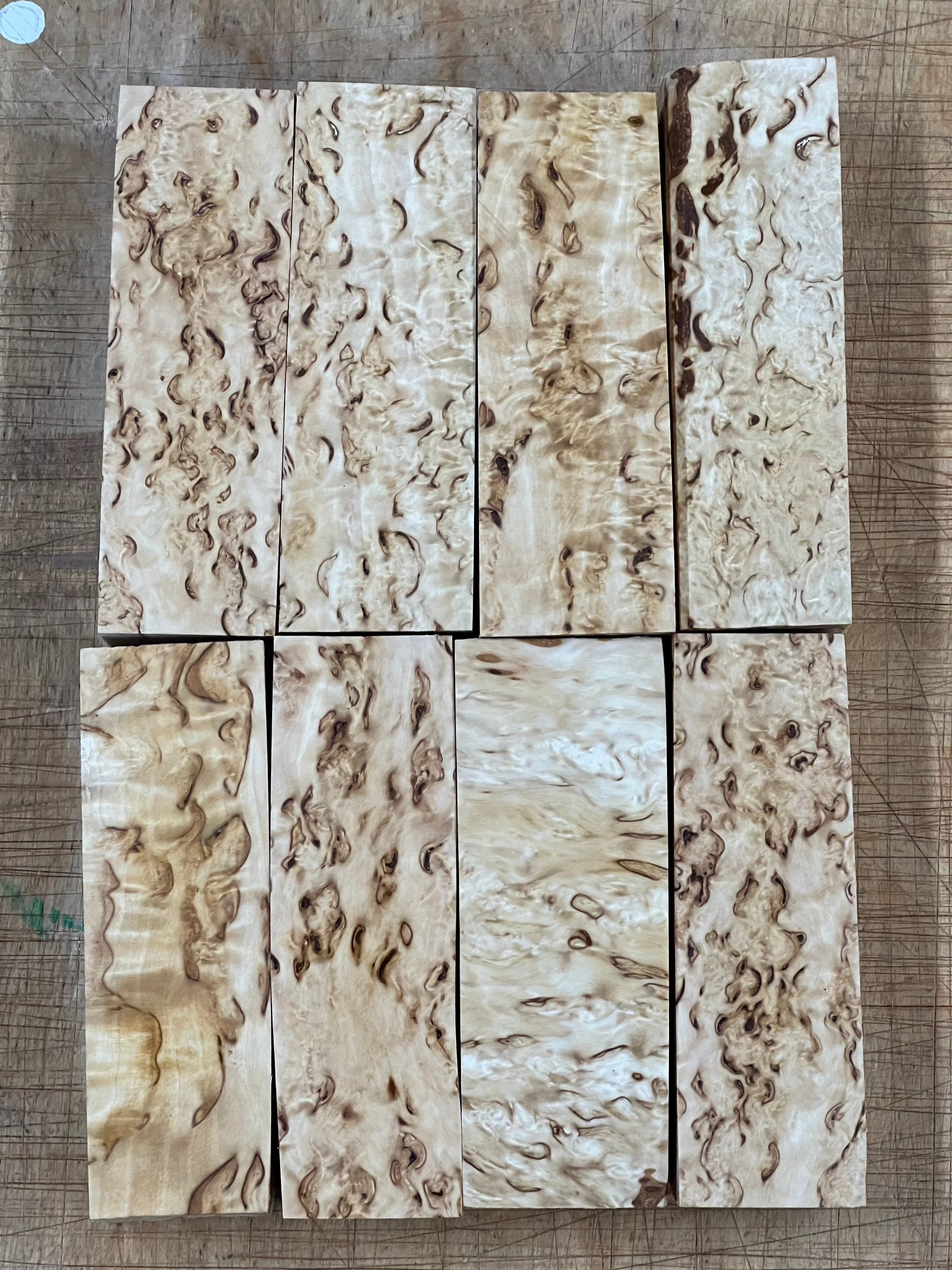 Naturel Bouleau verruqueux Bouleau madré env. 30x40x120