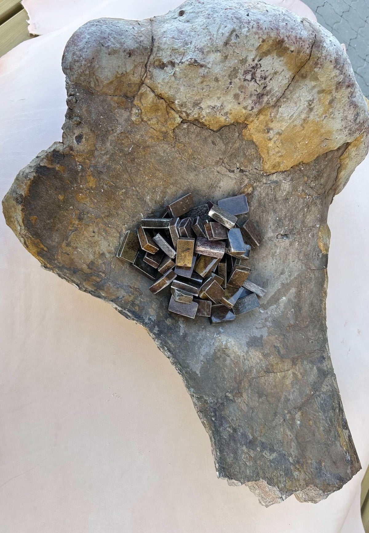 Fossile de dinosaure fragment 20x35x20mm