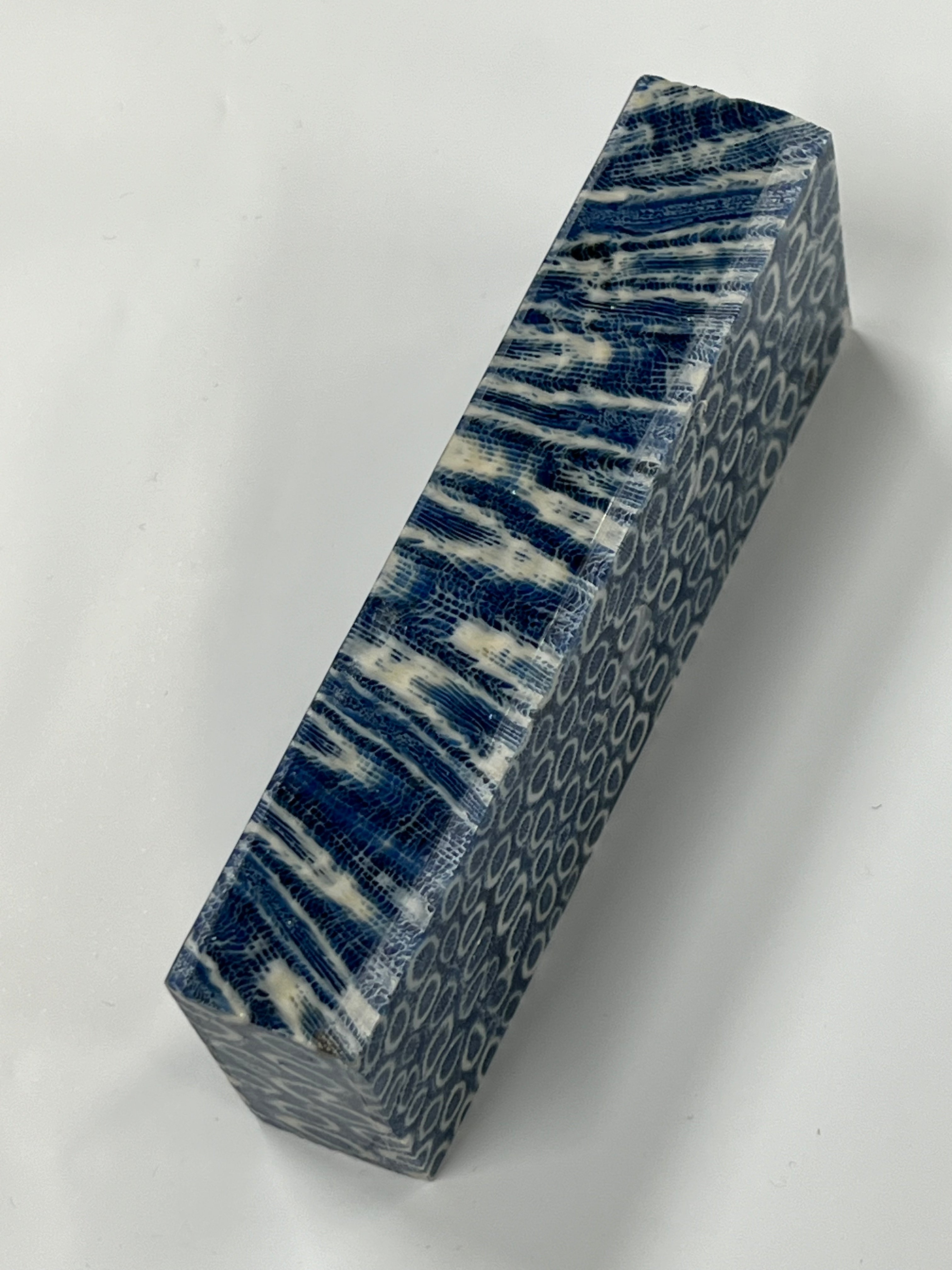 Ébauche de manche en corail fossile K1 (bleu)