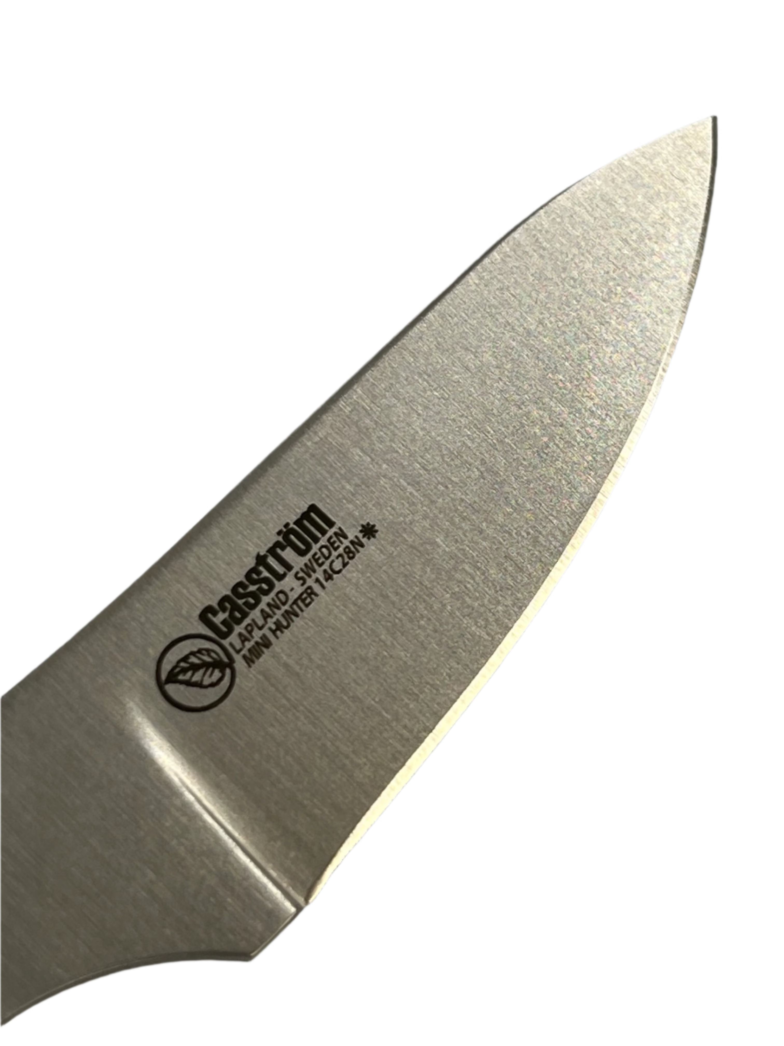 Lame de couteau Casström Safari Mini Hunter 60 mm