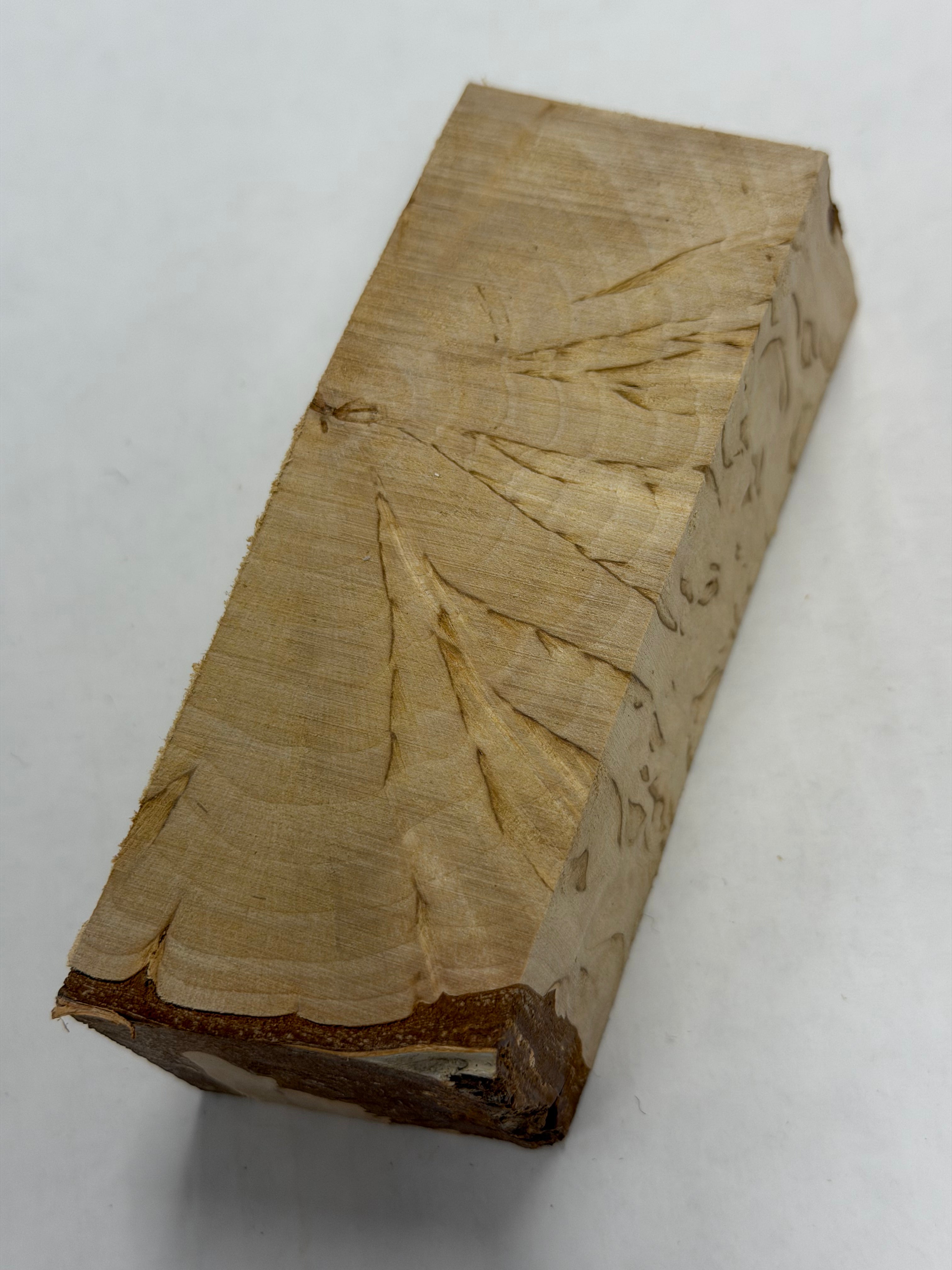 Bouleau madré VBX-8 ; 38x43x112 mm