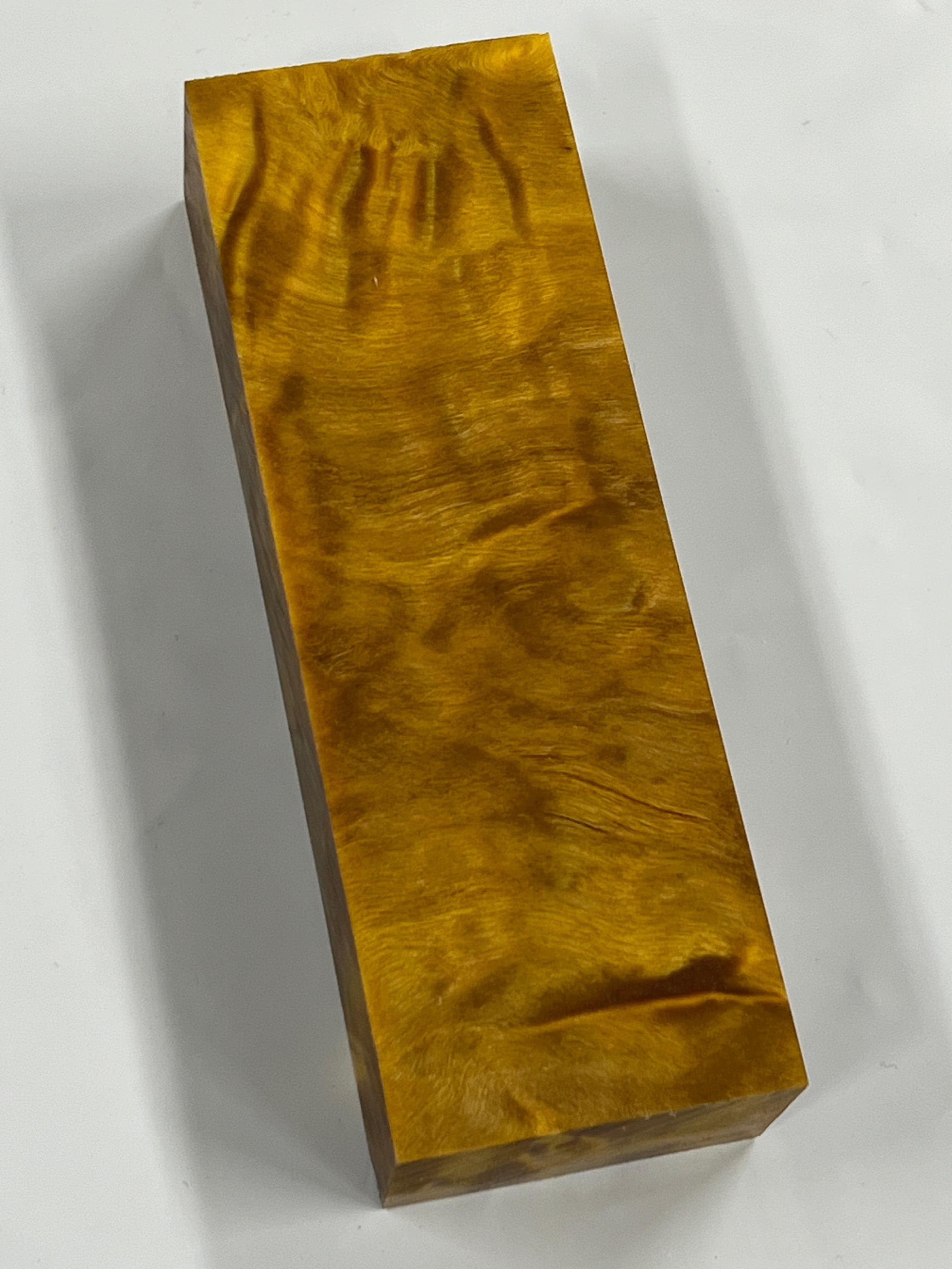 Peuplier deltoïde - Jaune