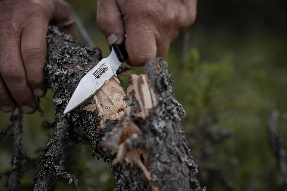 Lame de couteau Casström Swedish Field Dresser