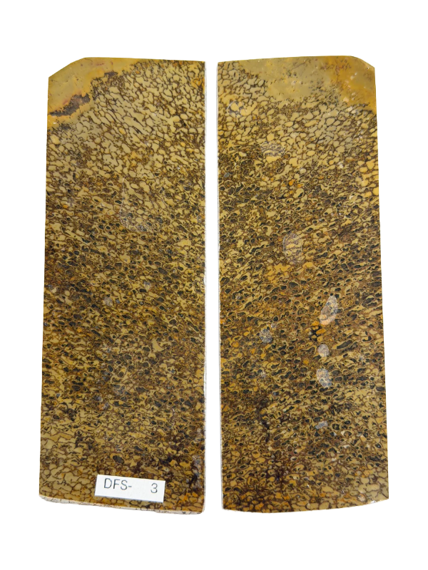 Jeu de plaques de manche pour fossile de dinosaure DFS-3