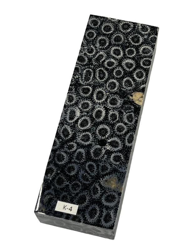 Ébauche de manche en corail fossile K4 (noir)