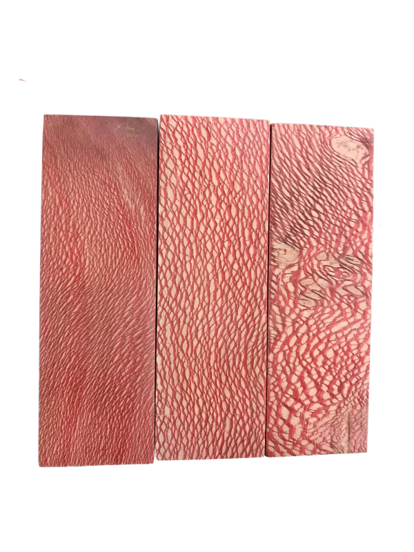 Platane - Rouge