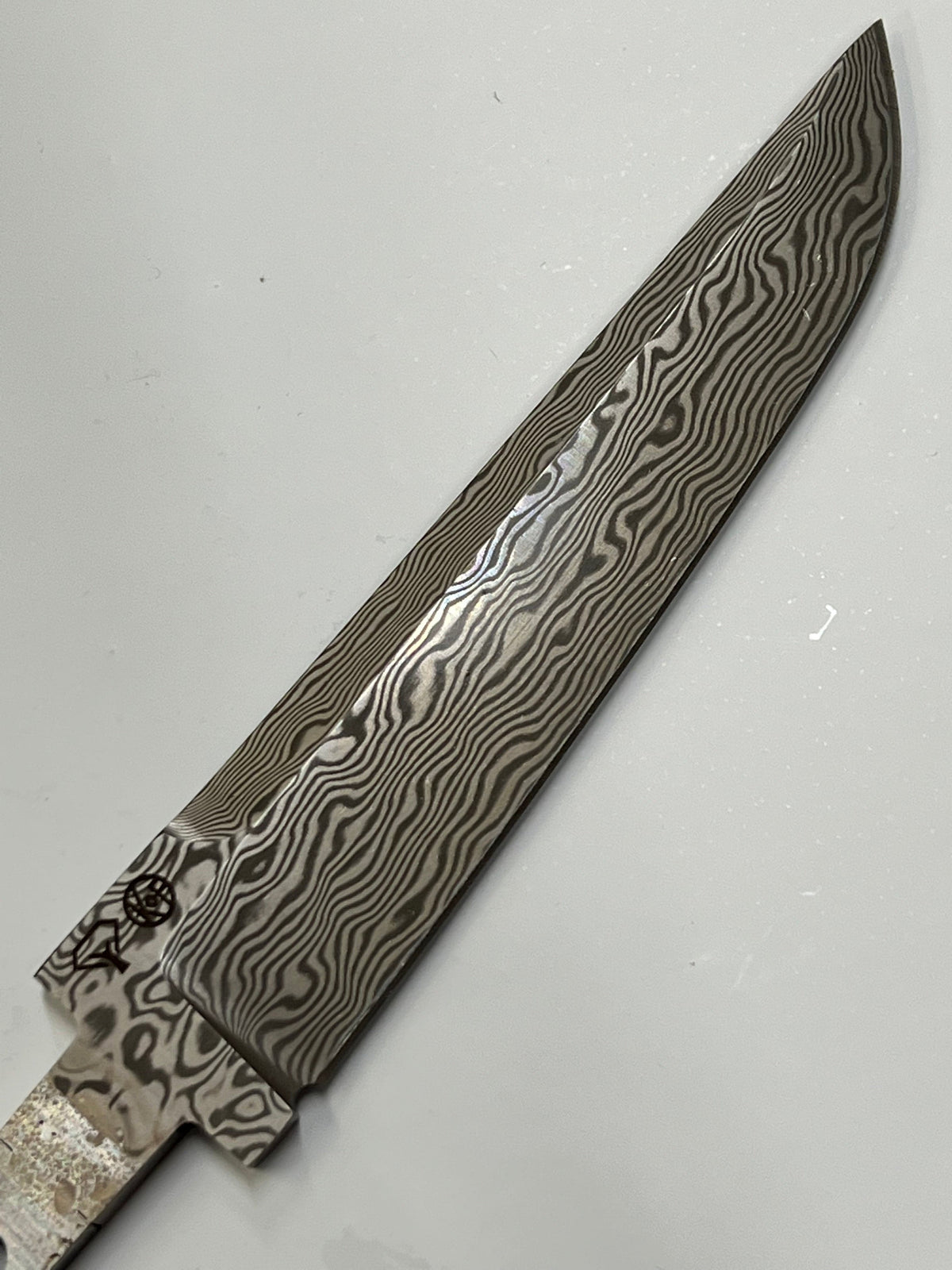 Molzen 100 mm (Kofoed)