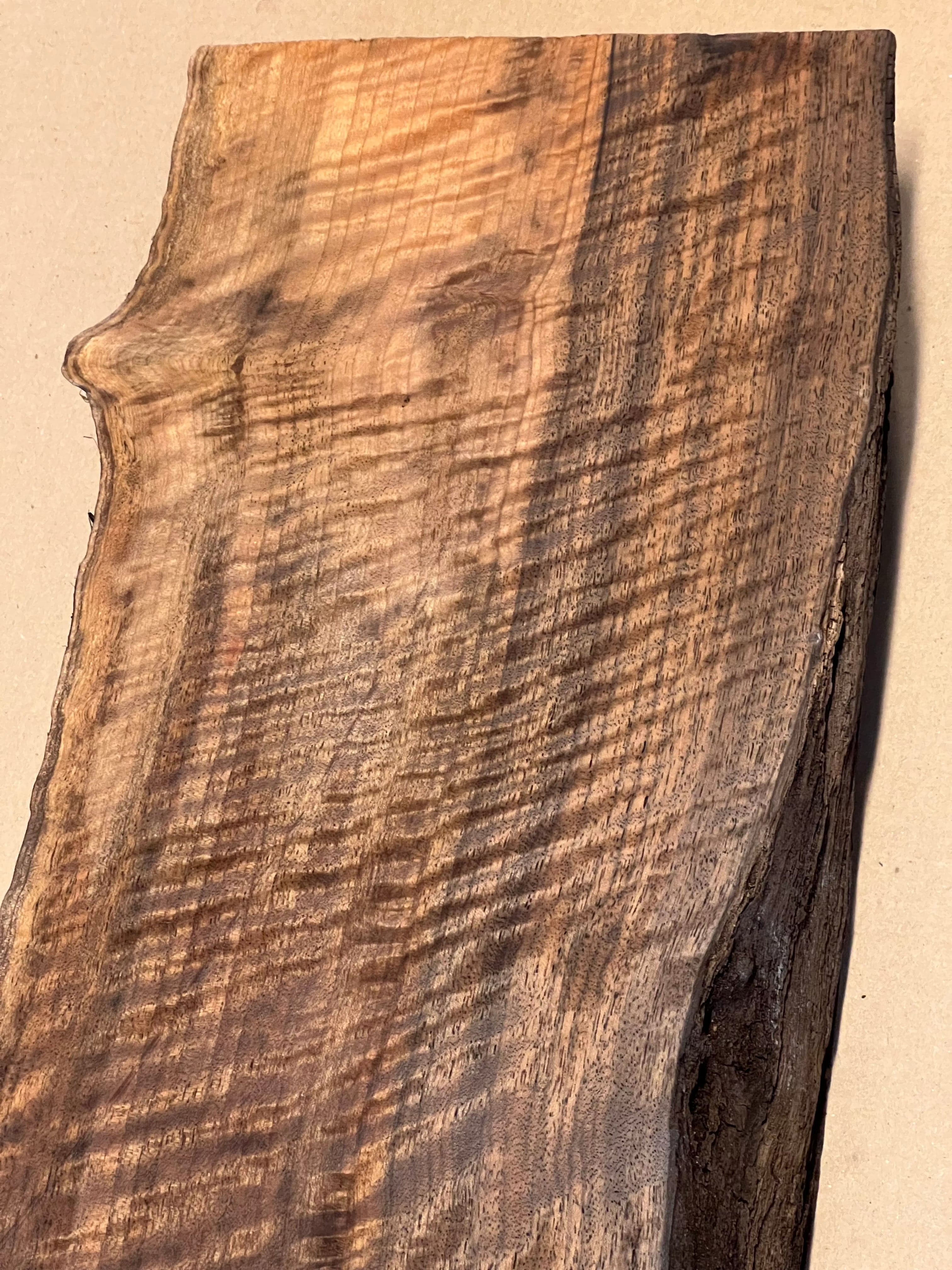 Ébauche de noyer premium, grande taille VC02