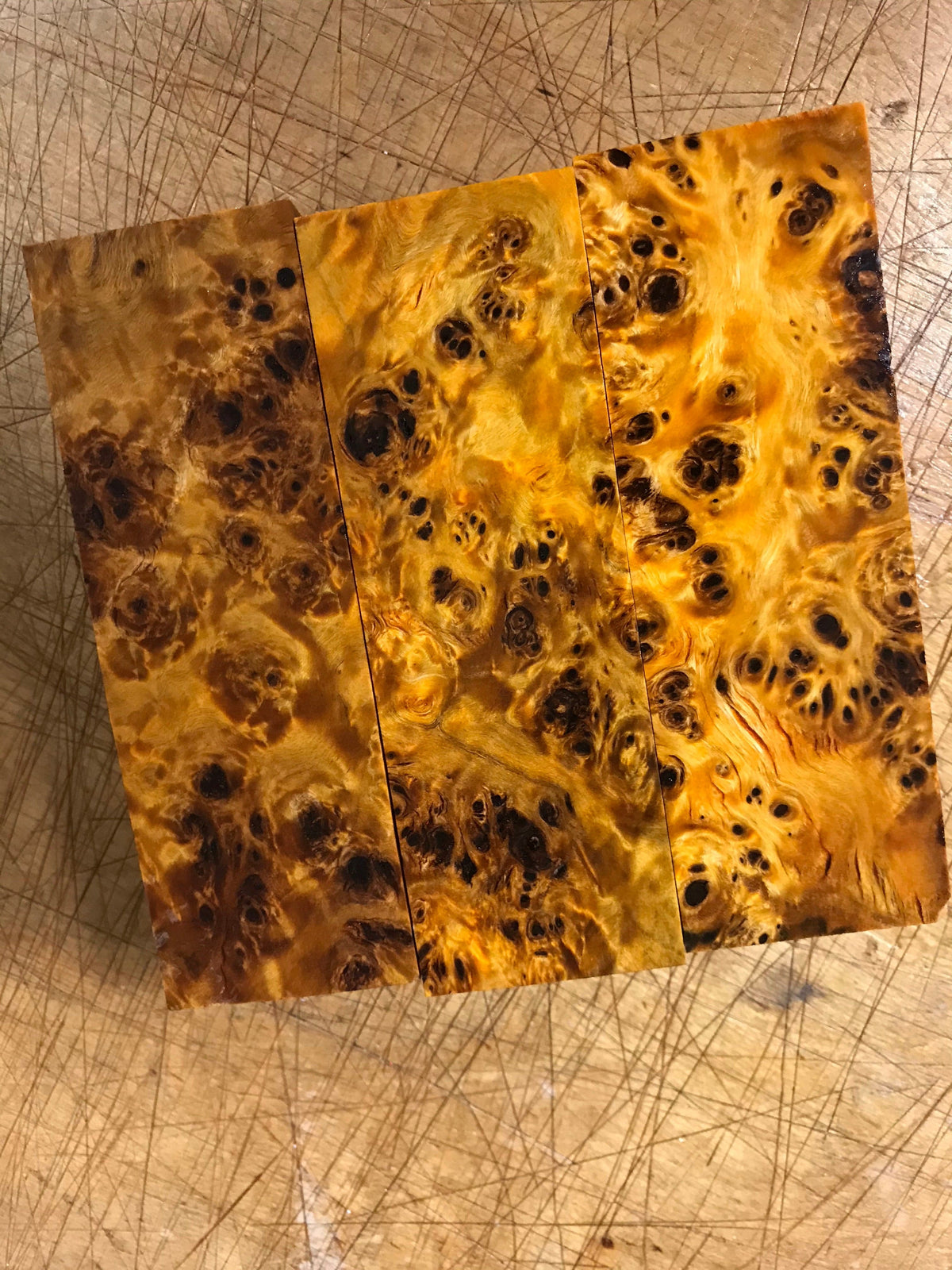 Nœud de peuplier - Orange