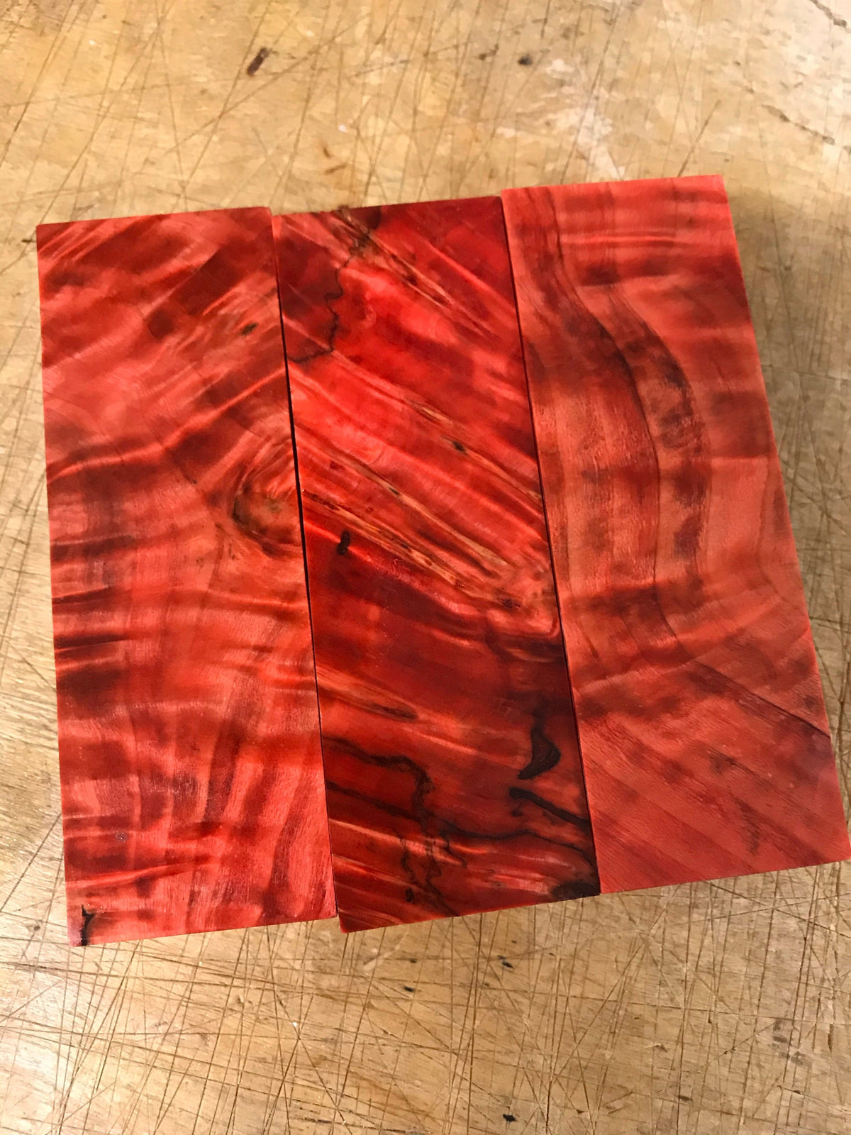 Peuplier baumier - Rouge