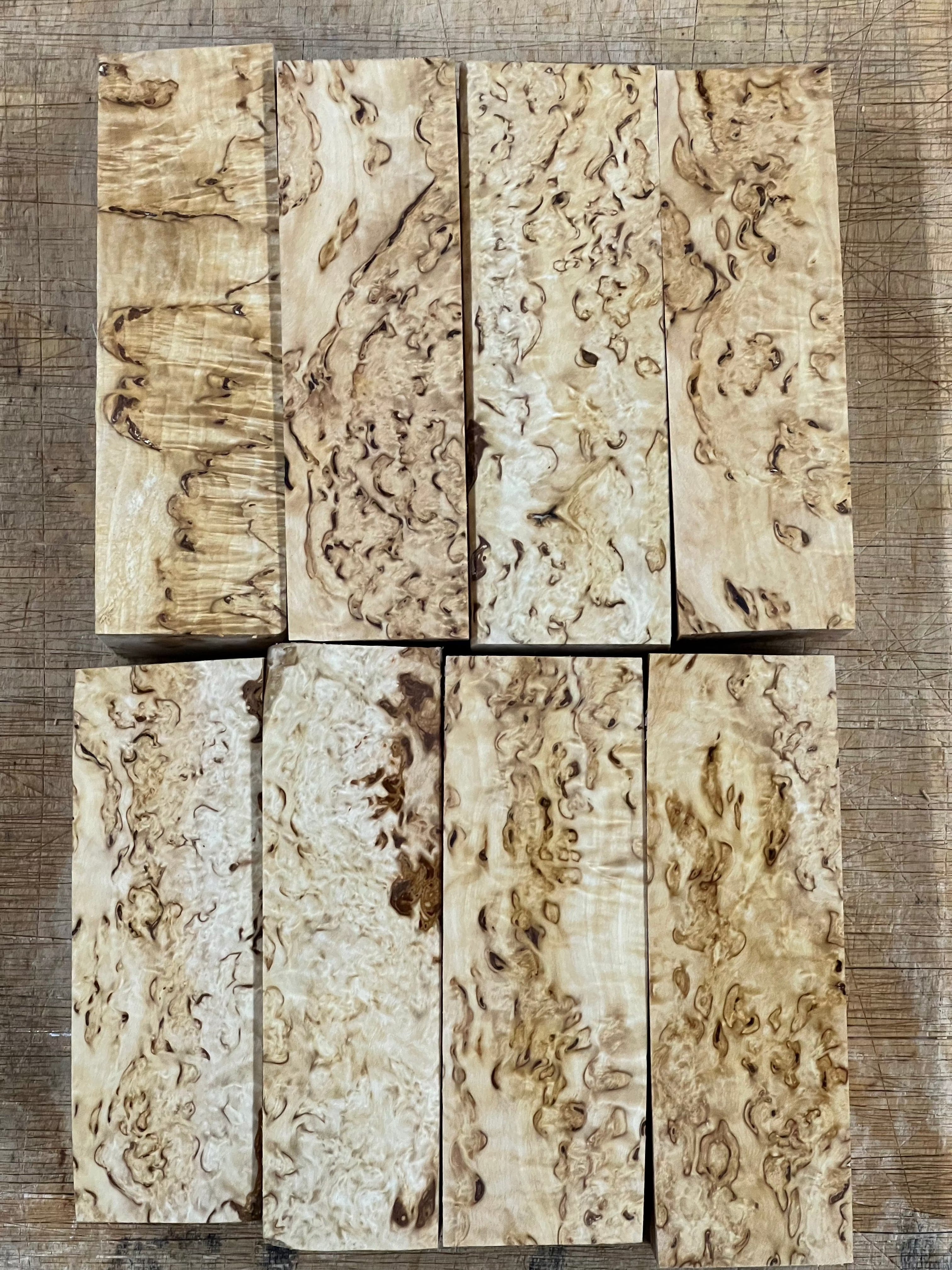 Naturel Bouleau verruqueux Bouleau madré env. 30x40x120