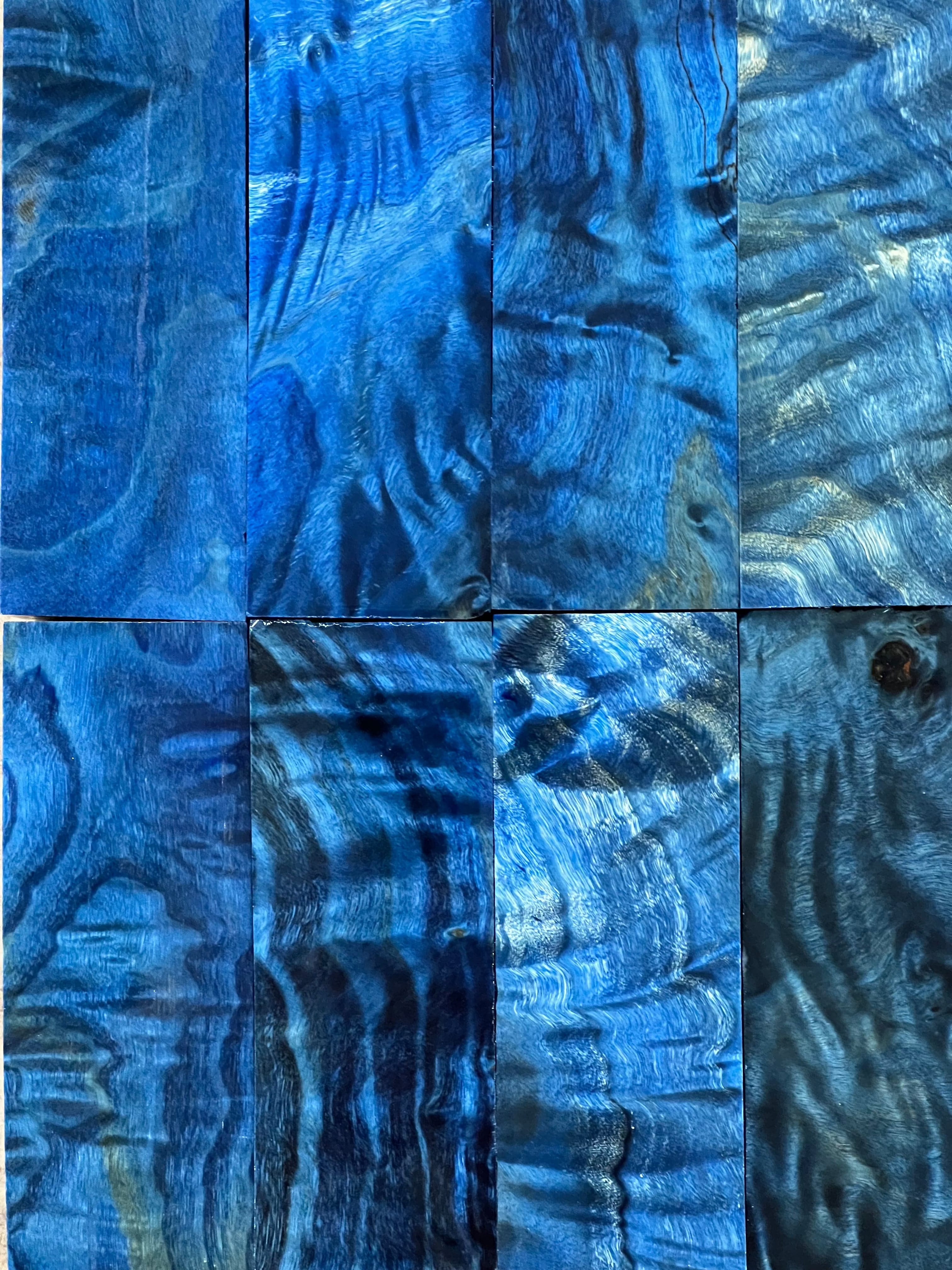 Peuplier faux-tremble - Bleu