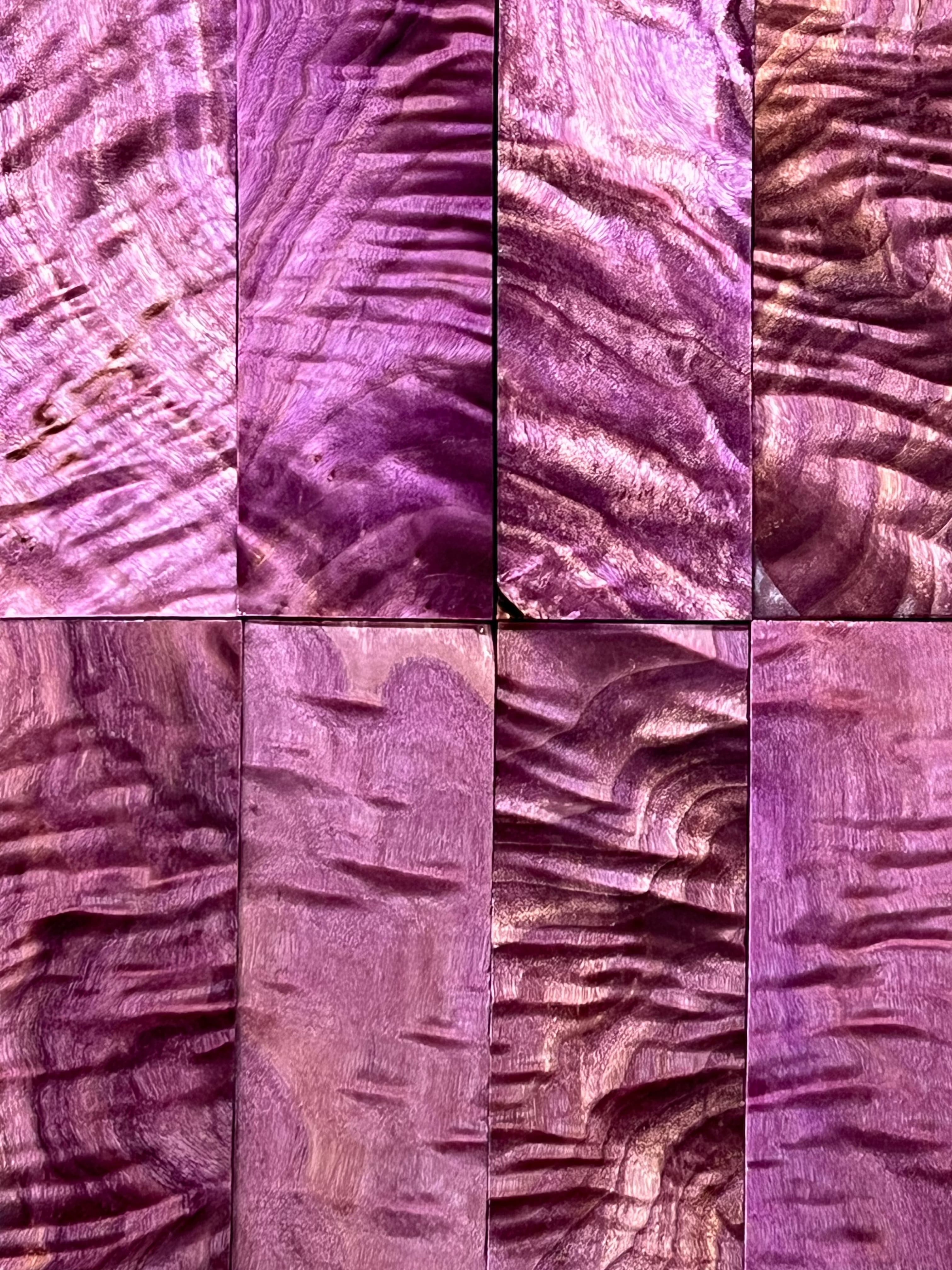 Peuplier baumier - Violet