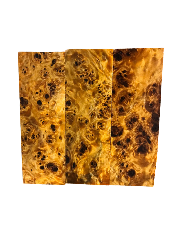 Nœud de peuplier - Orange