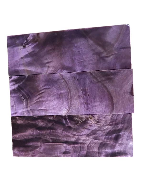 Peuplier baumier - Violet