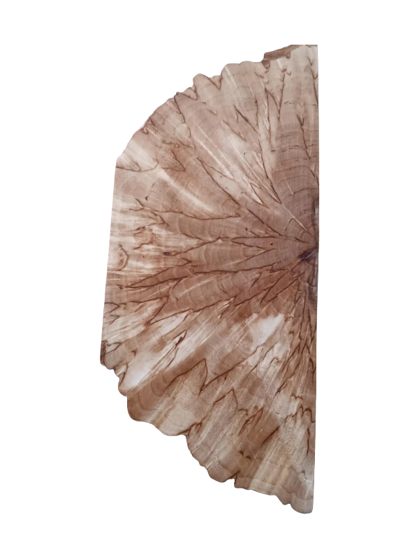 Naturel Bouleau madré (Masur) Coupe transversale (X-cut) env. 30x40x140mm