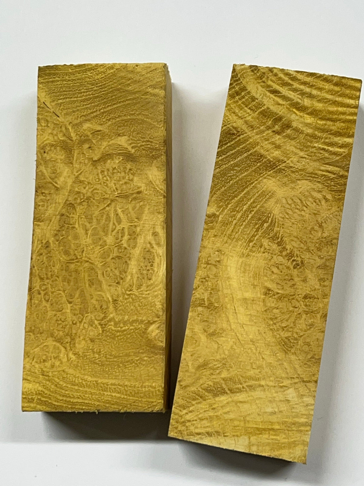 Bloc de robinier faux-acacia