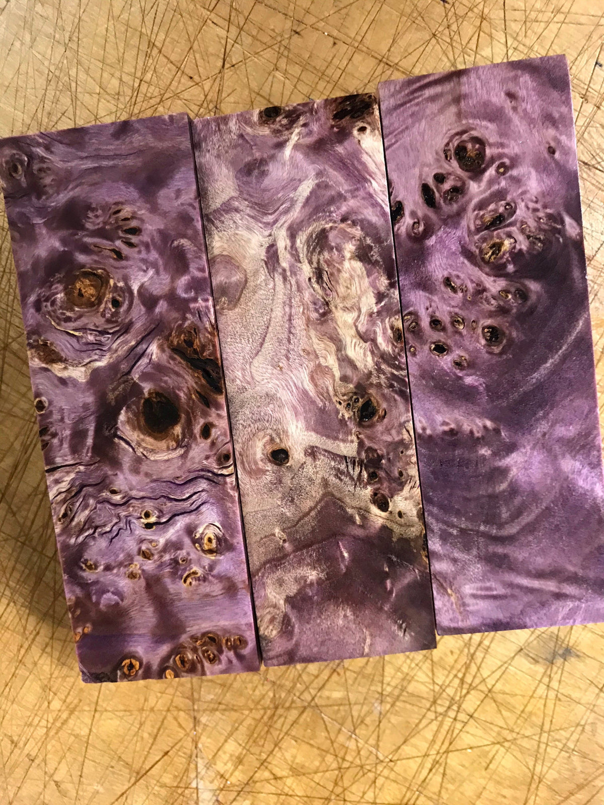 Nœud de peuplier - Violet