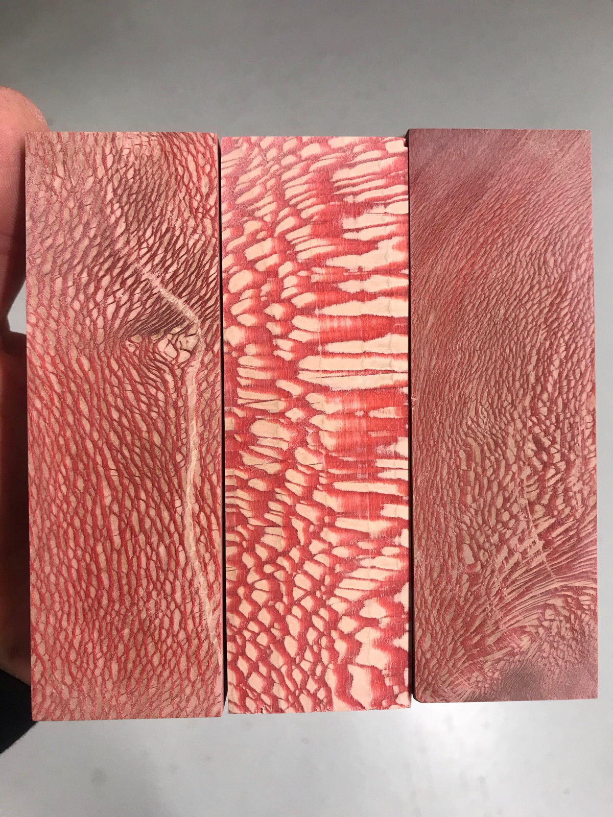 Platane - Rouge