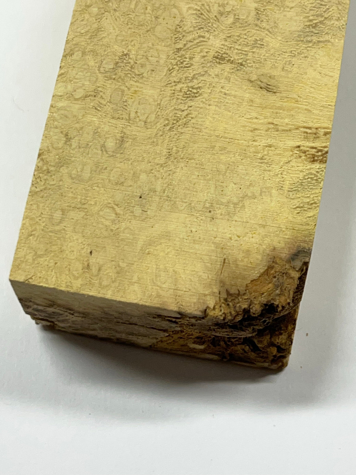 Bloc de robinier faux-acacia