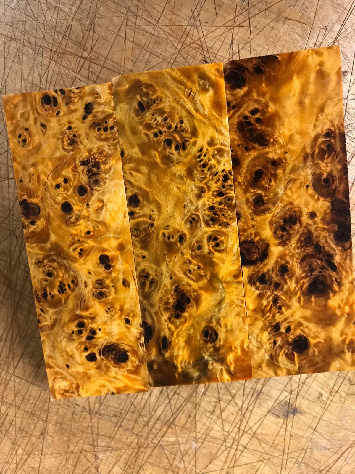 Nœud de peuplier - Orange