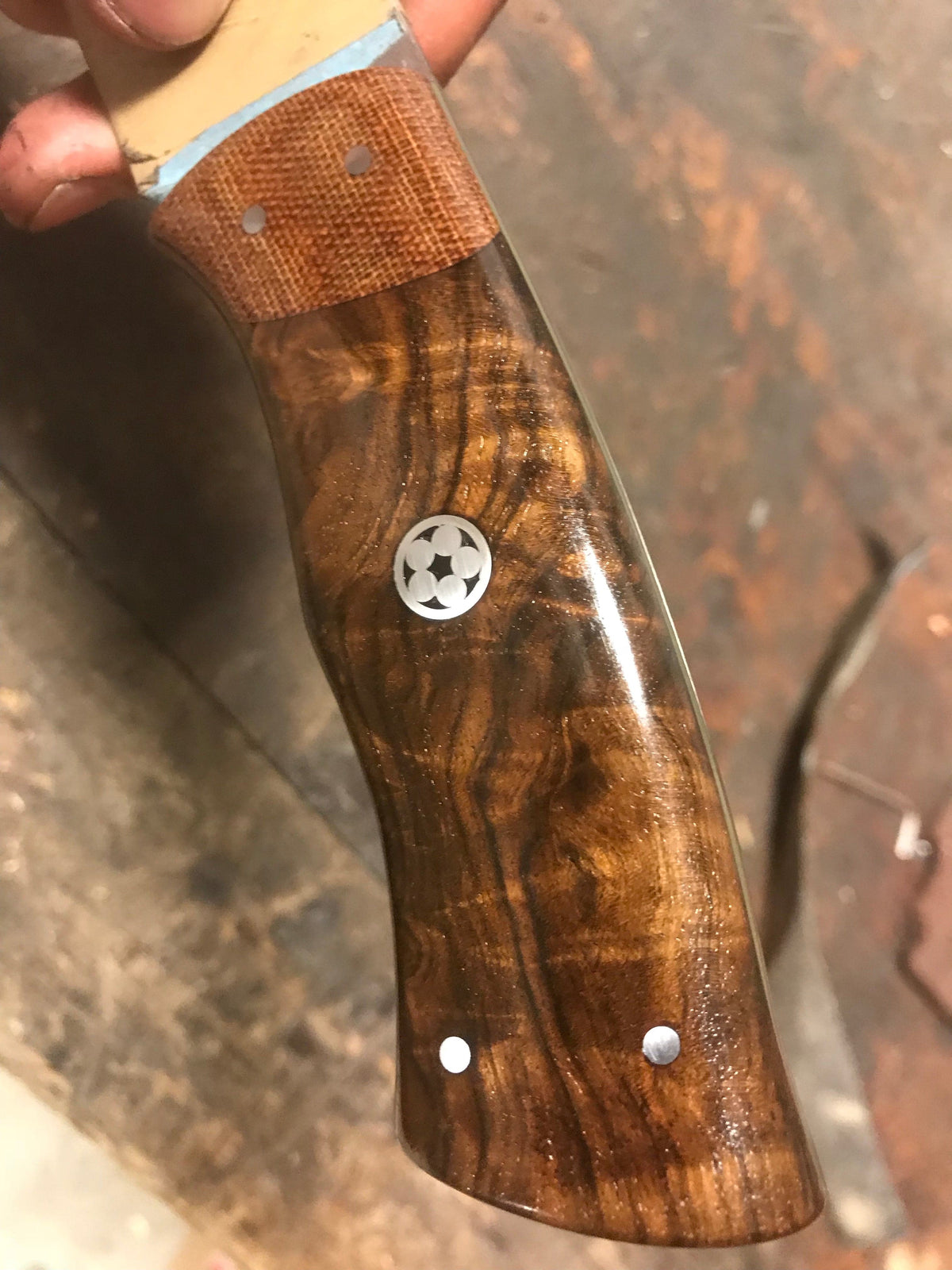 Ébauche de crosse en noyer premium