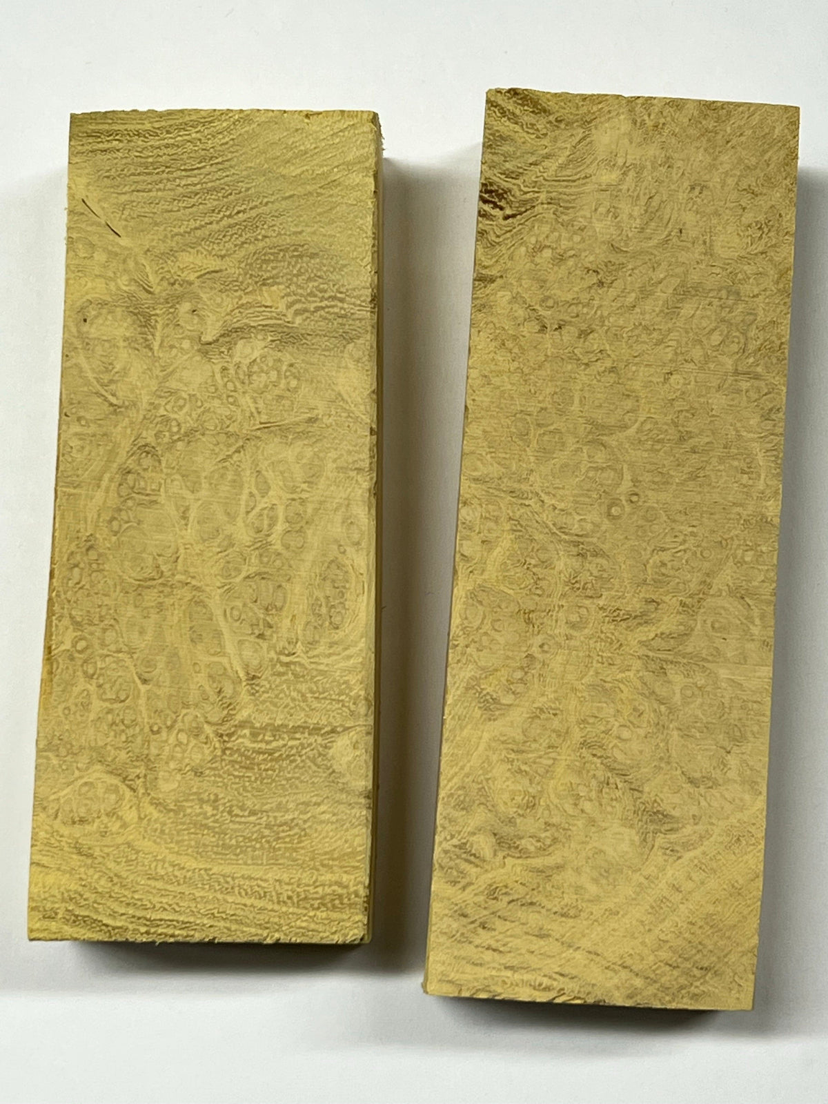 Bloc de robinier faux-acacia